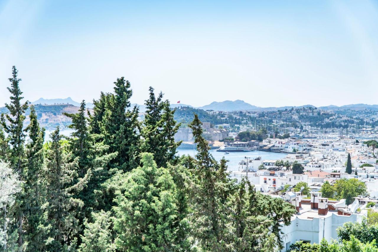 Manzara Boutique Hotel - Adults Only Bodrum 외부 사진
